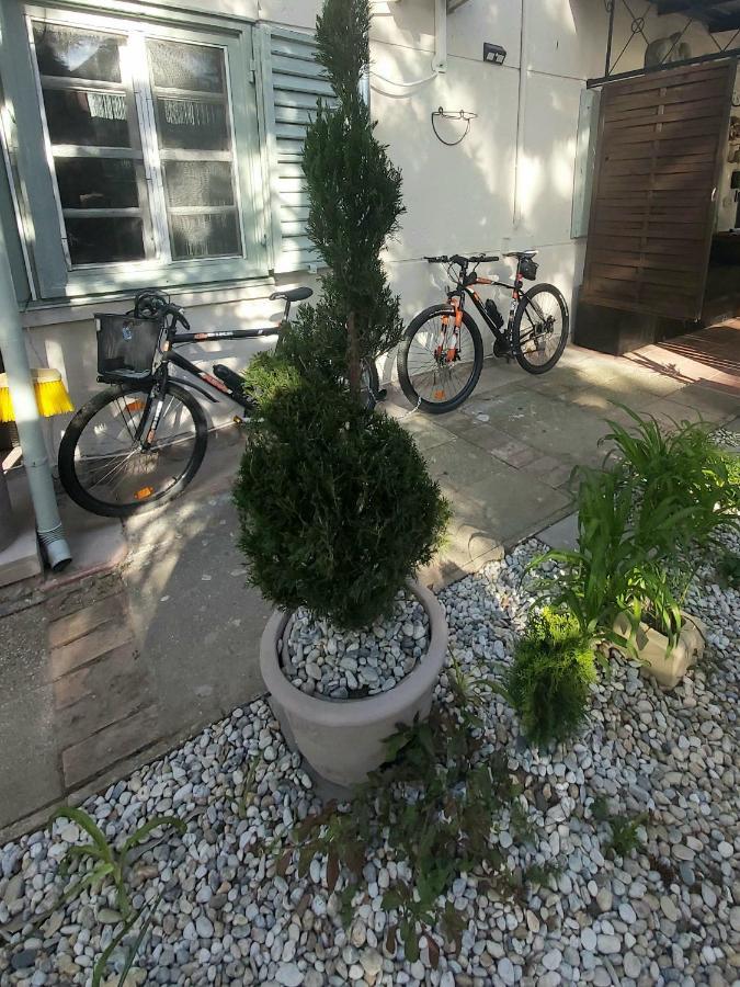 Studio Garden, Autoparking, Bbq, Terrace
